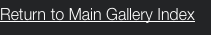 Return to Main Gallery Index